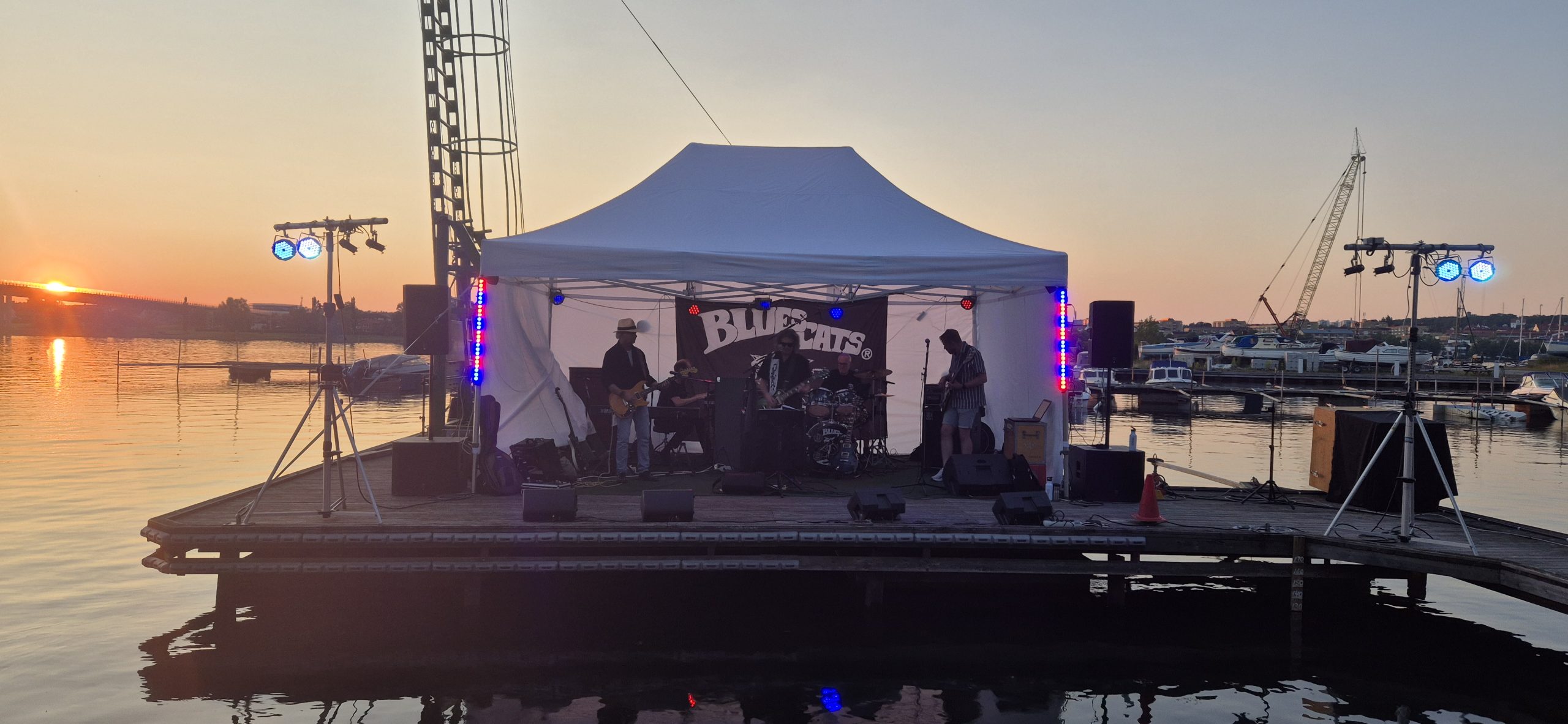 50 års fest